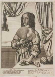 गर्मी द्वारा Wenceslaus Hollar