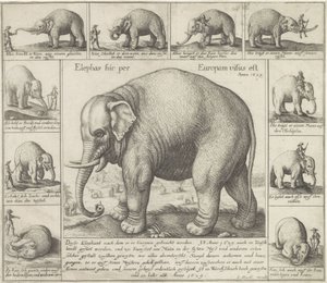  द्वारा Wenceslaus Hollar