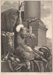 द डेड हरे, 1649। द्वारा Wenceslaus Hollar
