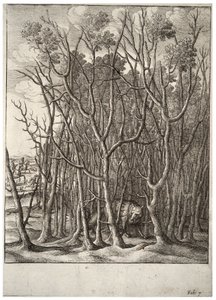 लोमड़ी और कांटेदार झाड़ी। राज्य 2 द्वारा Wenceslaus Hollar