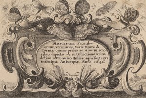शीर्षक पृष्ठ, 1646। द्वारा Wenceslaus Hollar
