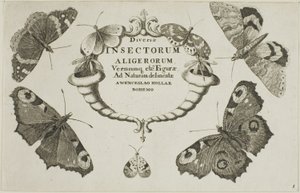  द्वारा Wenceslaus Hollar