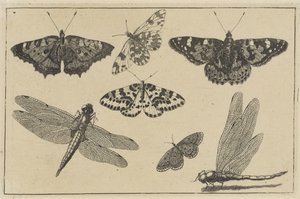  द्वारा Wenceslaus Hollar