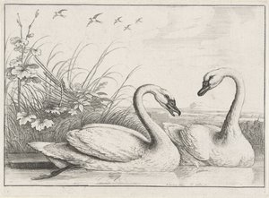  द्वारा Wenceslaus Hollar