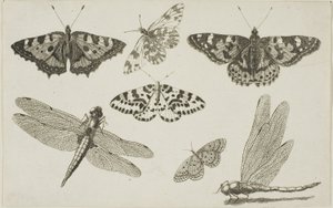  द्वारा Wenceslaus Hollar