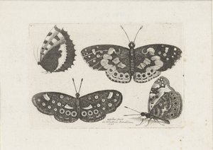  द्वारा Wenceslaus Hollar