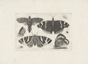  द्वारा Wenceslaus Hollar