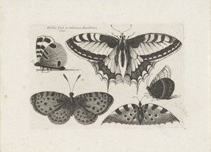  द्वारा Wenceslaus Hollar