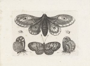  द्वारा Wenceslaus Hollar