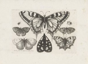  द्वारा Wenceslaus Hollar