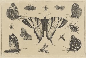  द्वारा Wenceslaus Hollar