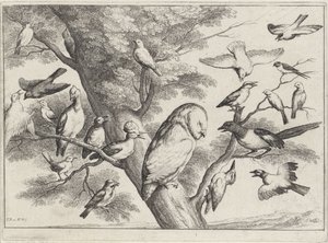  द्वारा Wenceslaus Hollar