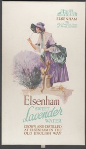 Elsenham लैवेंडर, 1920s द्वारा विल्फ्रेड फ्रायर