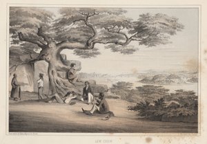 ल्यू च्यू, 1855