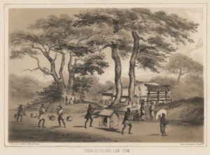Tshan-Di-Coo-Sah, Lew Chew, 1855 (lithograph) द्वारा विल्हेम जोसेफ हेन