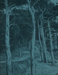 वुडलैंड, c1912