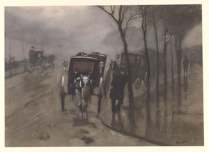  द्वारा विलेम अर्नोल्डस विट्सन