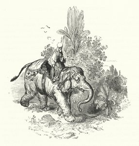 हाथी पर अब्द-अल-कुद्दूस (उत्कीर्णन) द्वारा विलियम (बाद) हार्वे