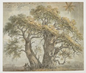  द्वारा विलियम अलेक्जेंडर