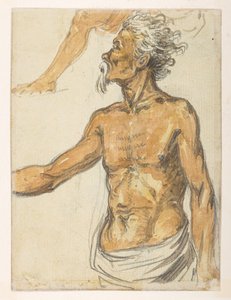 [f.4 24v बुजुर्ग व्यक्ति। 1792 और 1794 के बीच चीन के सम्राट के पास लॉर्ड मैकार्टनी के दूतावास के दौरान बनाए गए परिदृश्य, तटरेखा, वेशभूषा और रोजमर्रा की जिंदगी के 372 चित्रों के एक एल्बम से (कागज़ पर पेंसिल और पानी के रंग) द्वारा विलियम अलेक्जेंडर