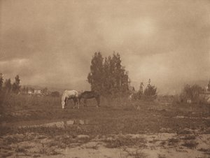 पासाडेना लैंडस्केप, 1899। द्वारा विलियम बी पोस्ट