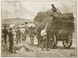 कैप्टन बॉयकॉट की फसलों की बचत, &39;कासल इलस्ट्रेटेड हिस्ट्री ऑफ इंग्लैंड&39; चित्रण द्वारा विलियम बार्न्स ऊन