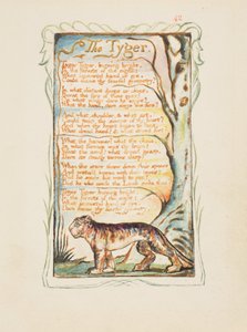 मासूमियत और अनुभव के गीत: द टाइगर, c.1825 (भूरा स्याही नक़्क़ाशी पानी के रंग में हाथ) द्वारा विलियम ब्लेक
