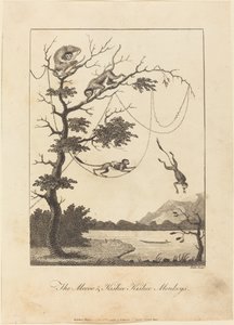 मेकू और किस्बी किशी बंदर, 1793। द्वारा विलियम ब्लेक