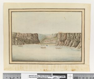 विपक्ष। पी। 299. `जेम्स वैली सेंट हेलेना 1792', c.1802 (वाटरकलर) द्वारा विलियम ब्राडली