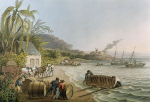 डब्लू। क्लार्क, लंदन, 1823 (रंगीन एक्वाटिंट) द्वारा प्रकाशित &39;टेंट व्यूज़ इन द आइलैंड ऑफ़ एंटीगुआ&39; से प्लेट एक्स पर कार्टिंग और पुटिंग शुगर हॉगशाइड्स।