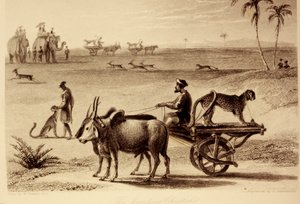 शिकार चीता द्वारा विलियम डेनियल