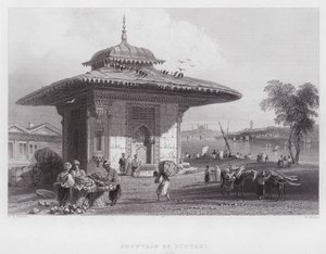 स्कूटरी में फव्वारा (उत्कीर्णन) द्वारा विलियम एच। बार्टलेट