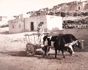  द्वारा विलियम एच. जैक्सन