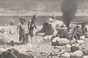 सी-साइड स्केच - ए क्लैम-बेक हार्पर्स वीकली, वॉल्यूम। XVII, 23 अगस्त, 1873। द्वारा विलियम एच. रेडिंग
