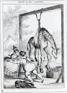 जिराफ का राज्य, 1829 द्वारा विलियम हीथ