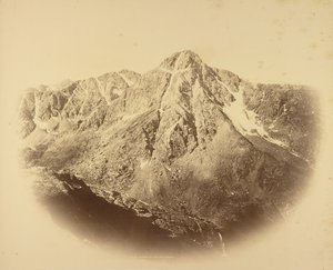  द्वारा विलियम हेनरी जैक्सन