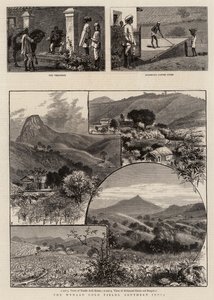 व्यानाद गोल्ड फील्ड्स, दक्षिणी भारत द्वारा विलियम हेनरी जेम्स नाव