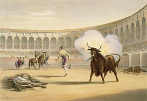 बैंडेरिलस डी फ़्यूगो, 1865