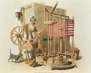 1808 (एक्वाटिंट) कलाकार द्वारा उकेरी गई एक महिला ऊन का कंकाल द्वारा विलियम हेनरी Pyne