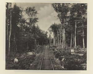 गनोगा लेक ब्रांच, LVRR, c.1899 (प्लैटिनम प्रिंट)
