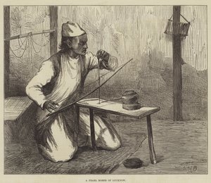 लखनऊ का एक पर्ल बोरर