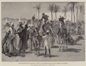 डोंगोला, कलाकारों और संवाददाताओं के लिए एडवांस जो ऊंट और गदहे खरीदते हैं