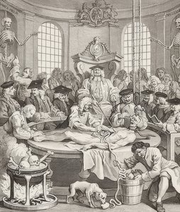 क्रूरता का पुरस्कार। से: क्रूरता के चार चरणों - क्रूरता के चार चरणों। 1751 द्वारा विलियम होगार्थ