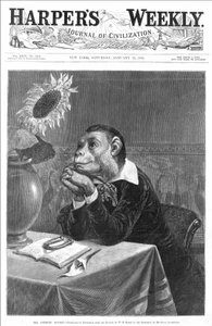 28/01/1882 से "" हार्पर साप्ताहिक "" का कवर। विलियम होलब्रुक बियर्ड (1824 - 1900) द्वारा एक मानवकृत बंदर एक फूल के बर्तन को देख रहा है।