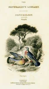 द नैचुरिस्ट्स लाइब्रेरी, ऑर्निथोलॉजी वॉल्यूम V, रिंग पिजन, c1833-1865। द्वारा विलियम होम लिज़र