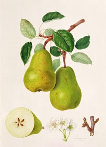 द एउच पीयर, 1817