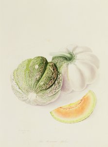 रोमाना मेलन, 1818