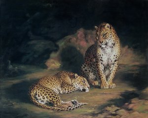 तेंदुओं की एक जोड़ी, 1845