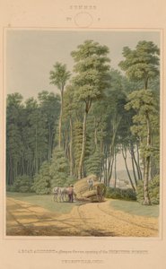 ग्रीष्म ऋतु--एक सड़क दुर्घटना। आदिम वन के उद्घाटन की एक झलक। थॉर्नविले, ओहियो द्वारा जॉर्ज हार्वे के बाद विलियम जेम्स बेनेट
