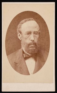 जेम्स क्रॉल का पोर्ट्रेट 1821-1890, 1876 से पहले। द्वारा विलियम नीलसन